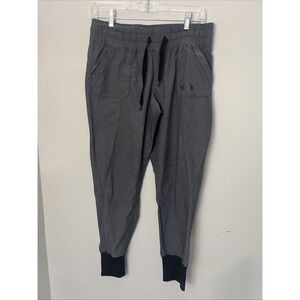 The North Face Jogger Pants Size s Gray